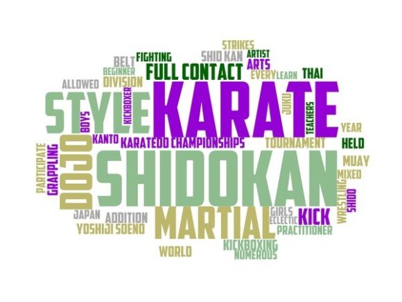 Shidōkan Karate Typography Book Cover: A Versatile Design Resource for Creative Expression
