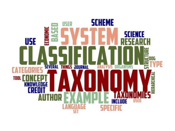 Taxonomy Typography Skinny Tumbler: Where Thoughtful Design Meets Everyday Inspiration