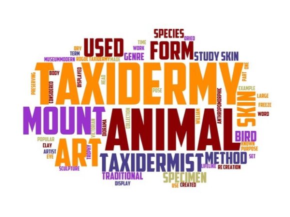 Unlock Creative Potential with Taxidermist Typography Sublimation & Hand-Drawn Word Clouds